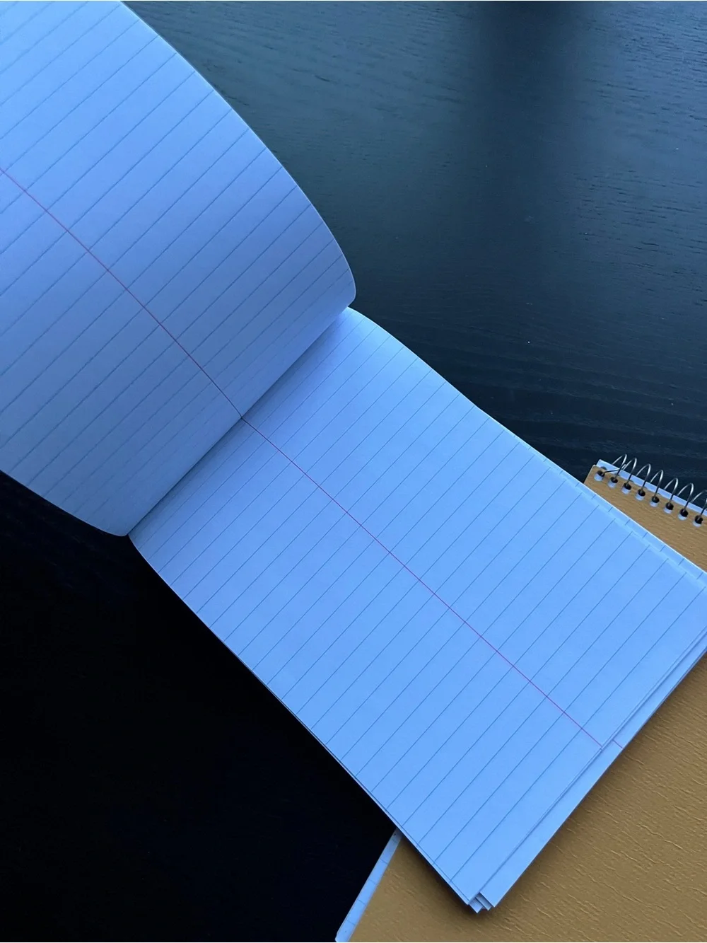 Staples Kraft Steno Book Spiral Memo Pad 6x9 Blue Ruled Gregg Line Notepad 2PK